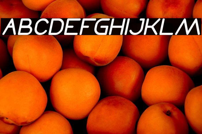 Times New Romance Italic Example 3