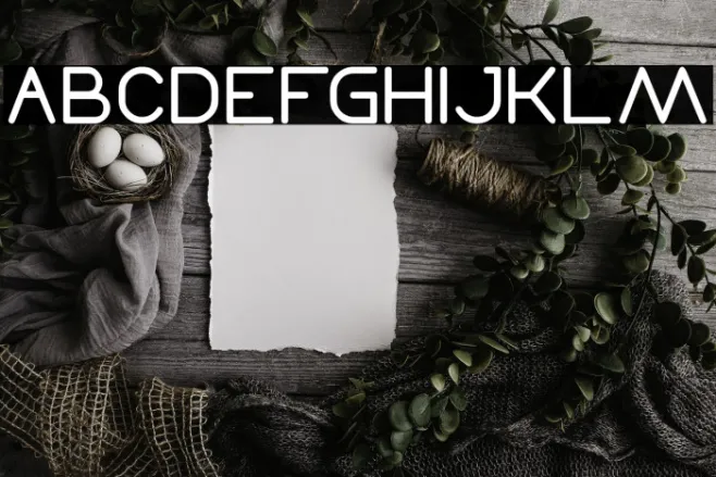 Times New Romance-Light Example 1