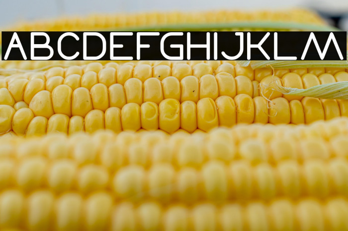 Times New Romance-Light Example 2