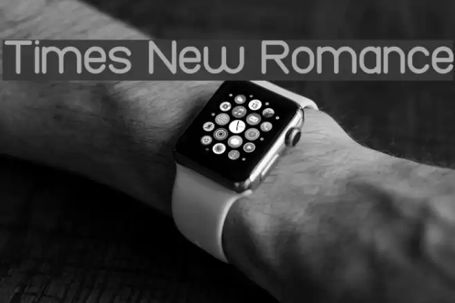Times New Romance Font examples
