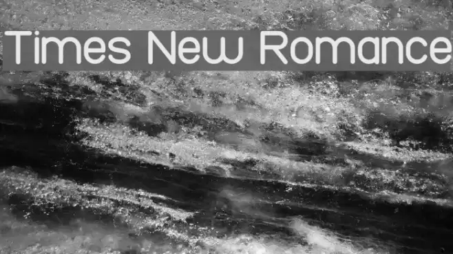 Times New Romance Font examples