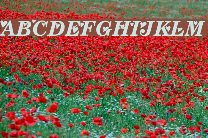 Times-New-Romance Font examples