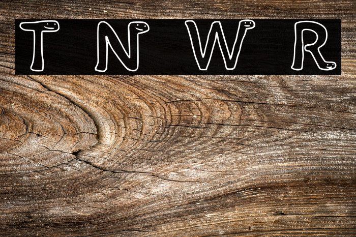 Times New Wumpus Regular Font examples