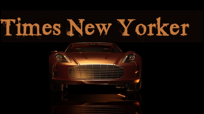 Times New Yorker Font examples