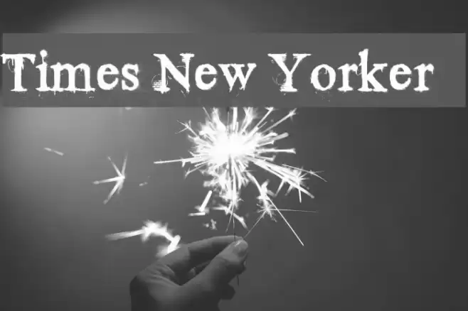 Times New Yorker Font examples