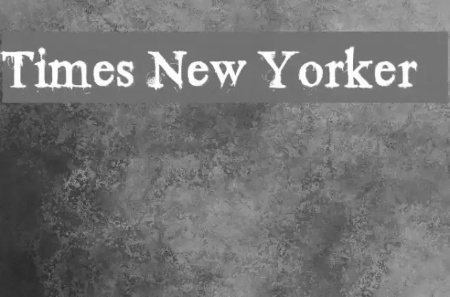 Times New Yorker Font examples