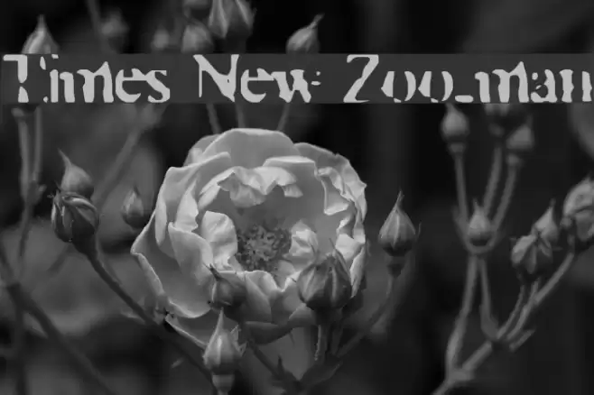 Times New Zoo-man Fonte examples