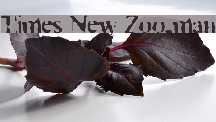 Times New Zoo-man Font examples
