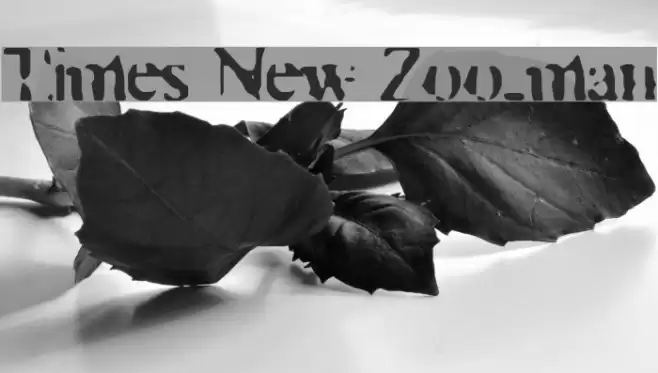 Times New Zoo-man Fonte examples
