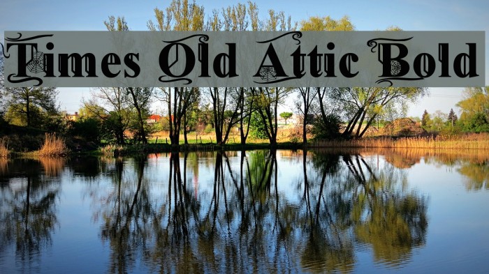 Times Old Attic Bold Font examples