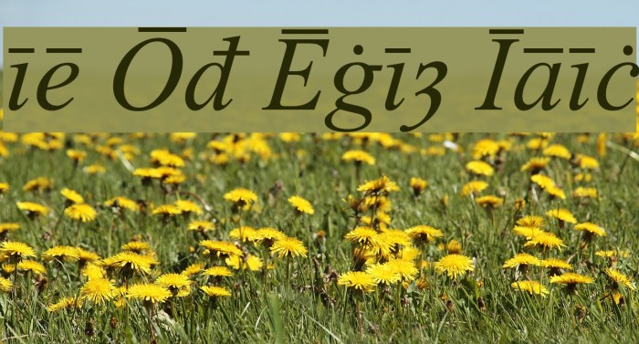 Times Old English Italic Font examples