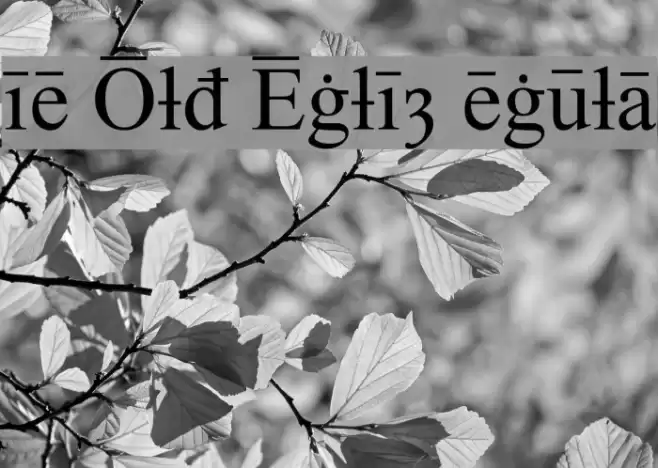 Times Old English Regular Font examples