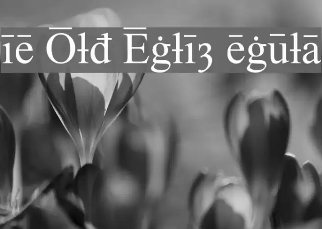 Times Old English Regular Font examples