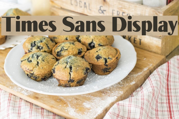 Times Sans Display Font examples