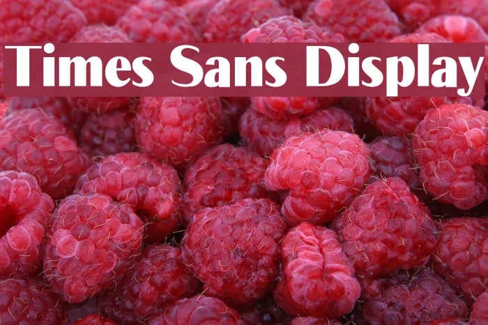 Times Sans Display Font examples