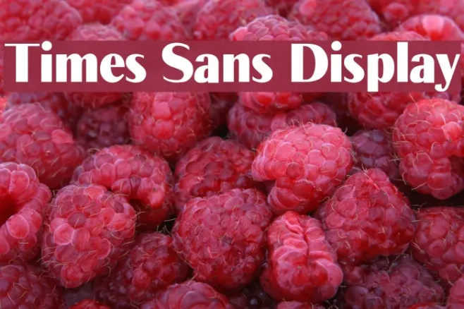 Times Sans Display Example 3