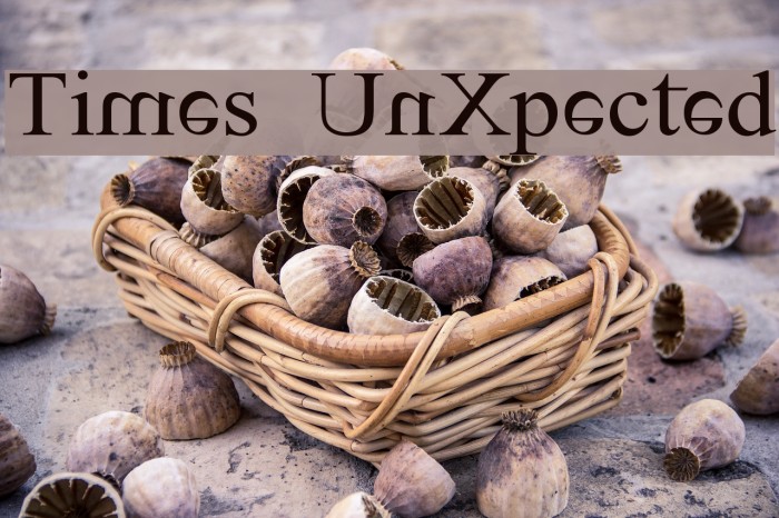 Times UnXpected Font examples