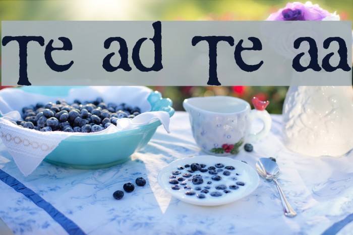 Times and Times again Font examples