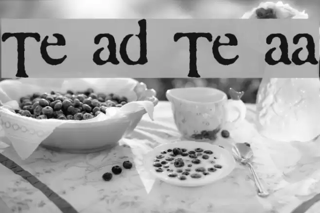 Times and Times again Font examples