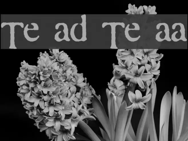 Times and Times again Font examples