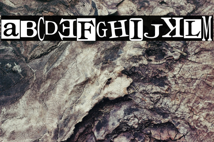 Times for Punks Example 3