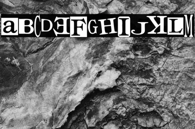 Times for Punks Font examples