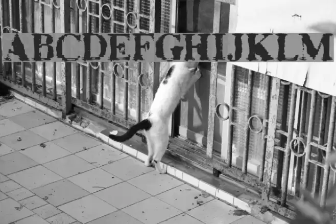 TimesNoRoman Font examples