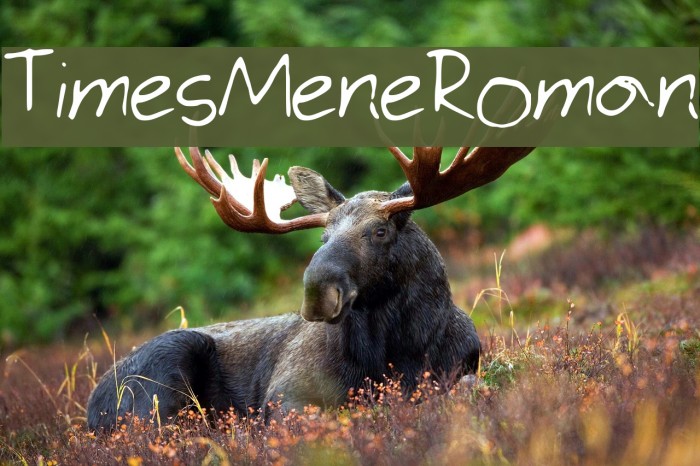 Times_Mene_Roman Font examples