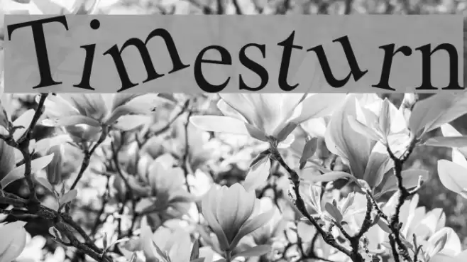 Timesturn Font examples