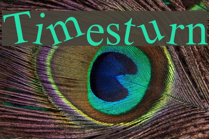 Timesturn Font examples