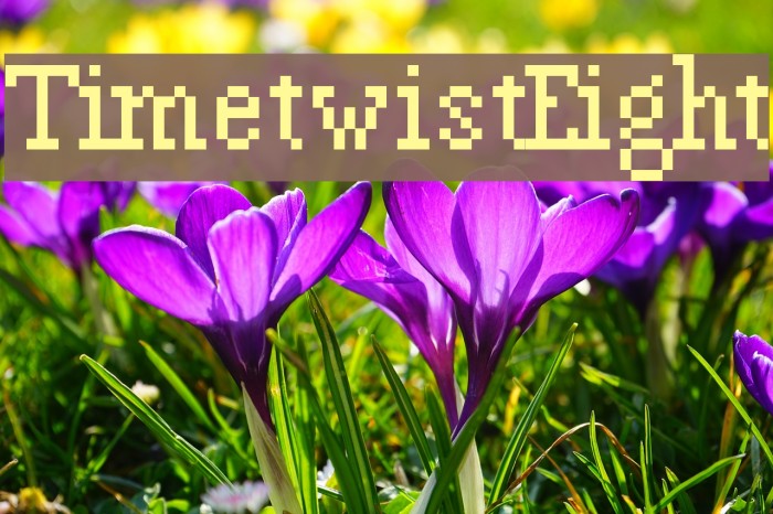 TimetwistEight Font examples