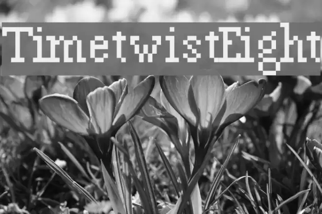 TimetwistEight Font examples