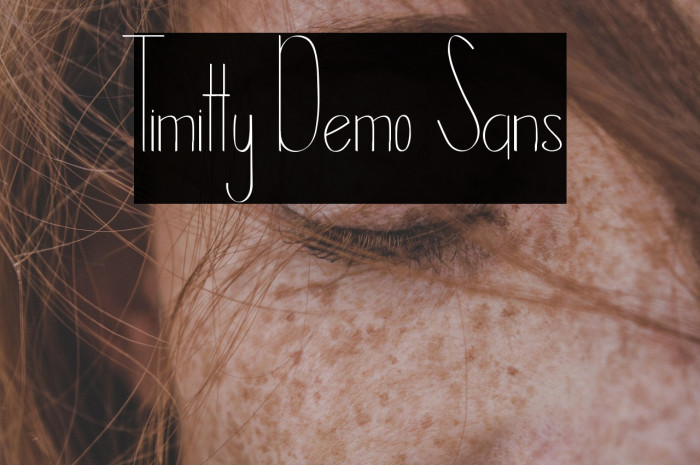 Timitty Demo Sans Example 1