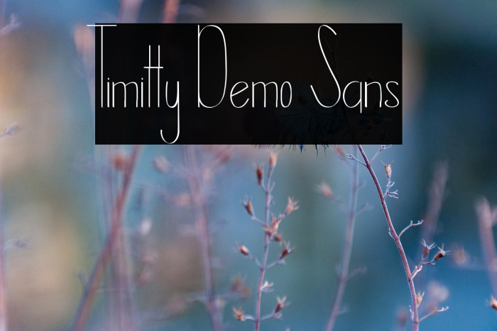 Timitty Demo Sans Example 2