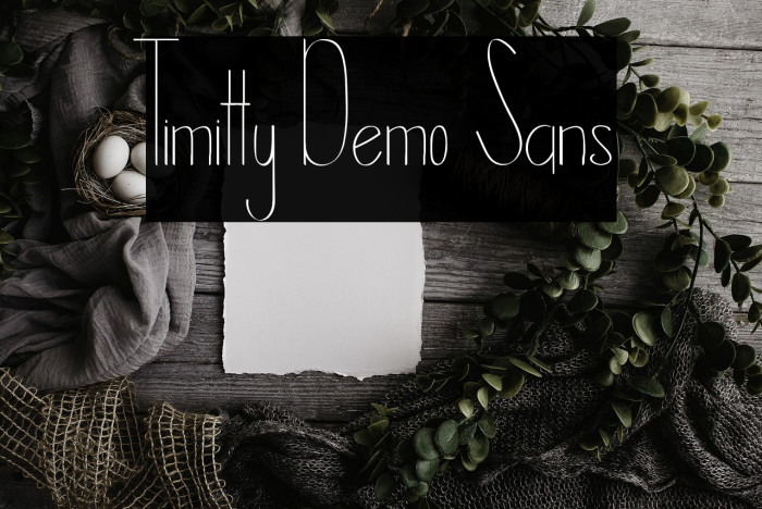 Timitty Demo Sans Example 3