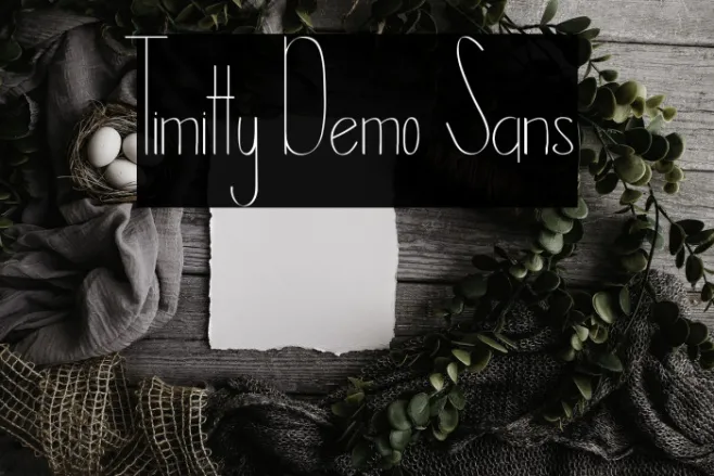 Timitty Demo Sans Example 3