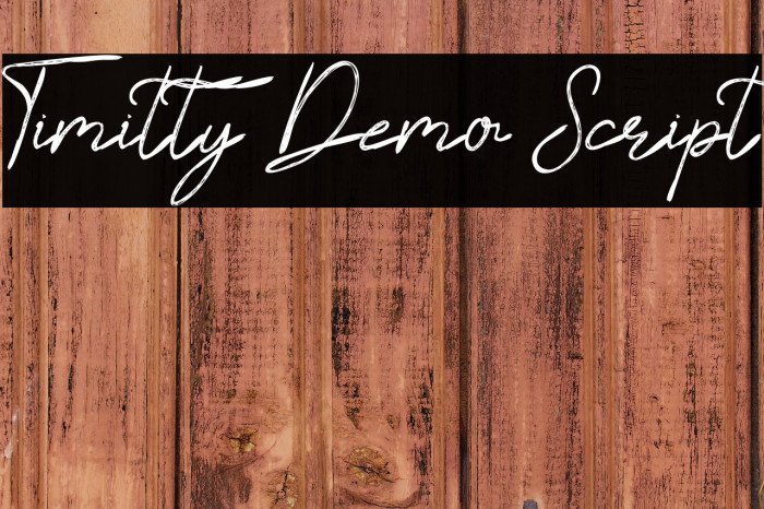 Timitty Demo Script Example 2