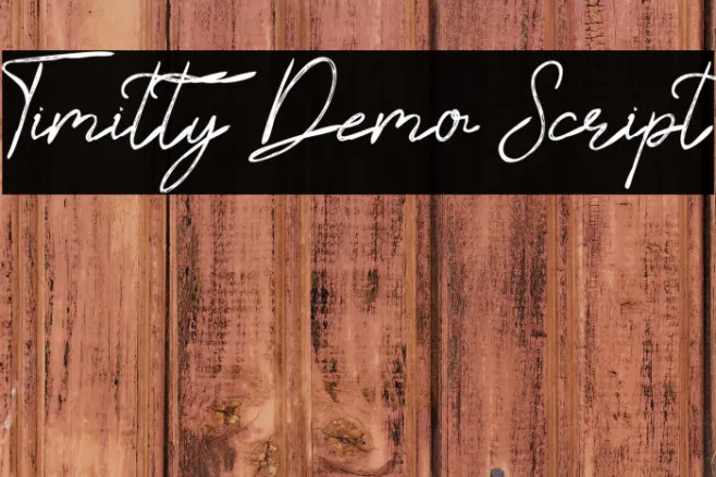 Timitty Demo Script Example 2