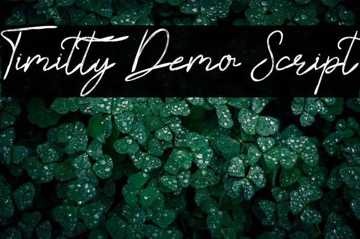 Timitty Demo Script Example 3