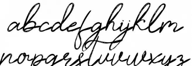 Timitty Demo Script 字体 小写