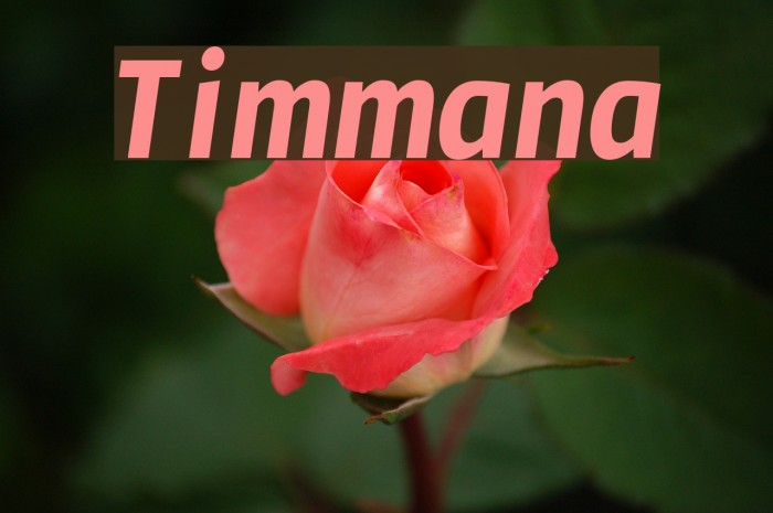 Timmana Font examples