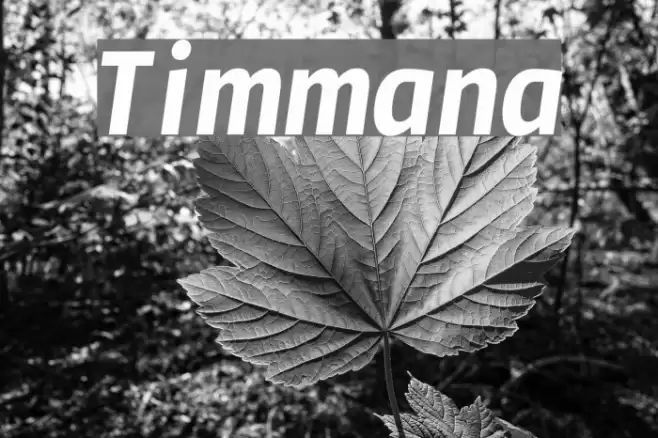 Timmana examples
