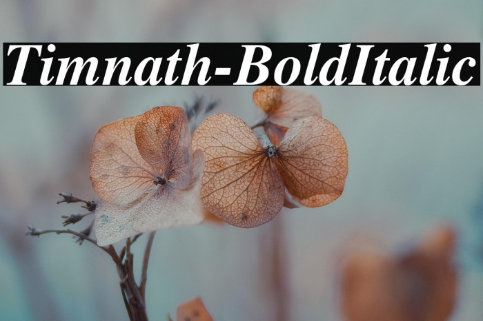 Timnath-BoldItalic Example 2