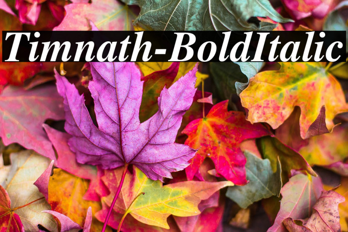 Timnath-BoldItalic Example 3