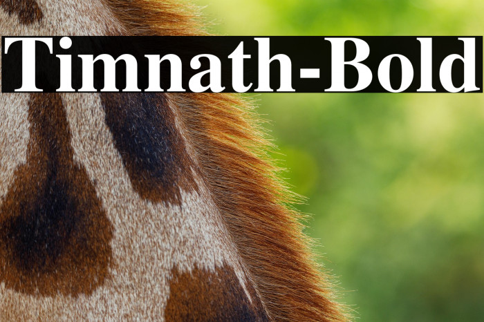 Timnath-Bold Example 1