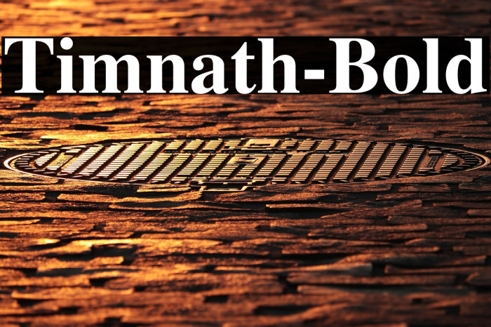 Timnath-Bold Example 2