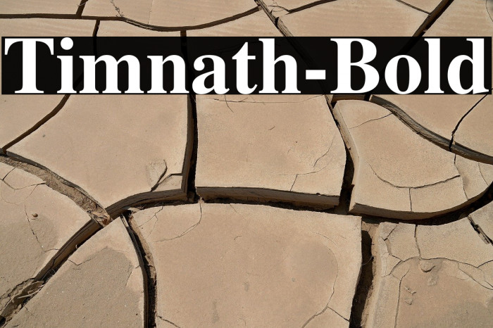 Timnath-Bold Example 3