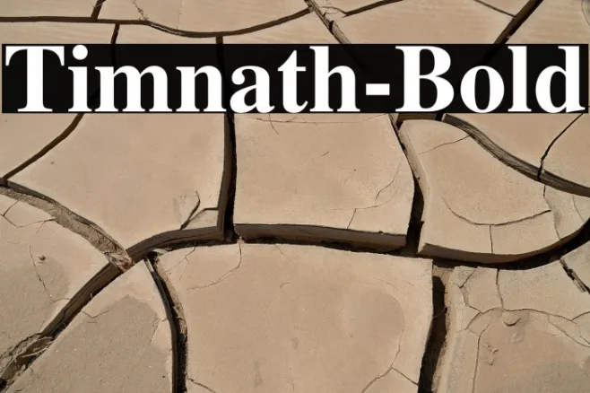 Timnath-Bold Example 3