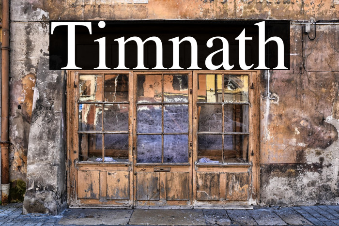 Timnath Example 2