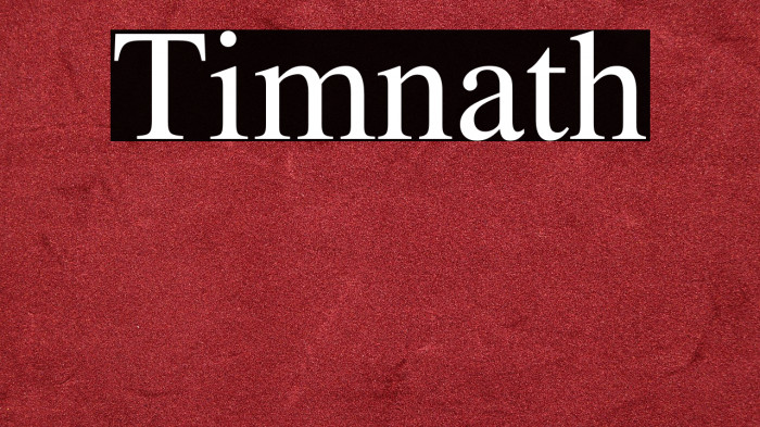 Timnath Example 3